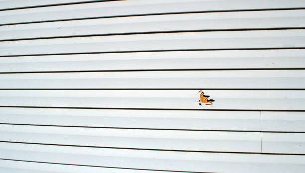 Reliable Albemarle, NC Siding Installation & Repair Solutions
